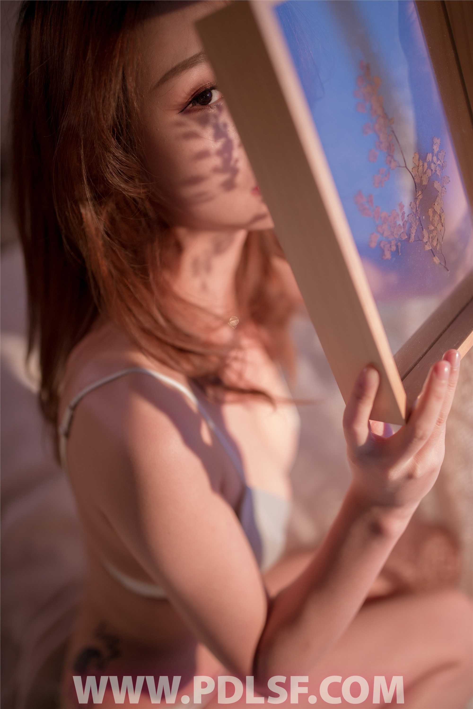 PDL潘多拉  2019.12.29 精品 NO.214